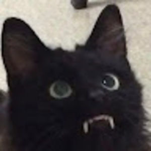 Meet your Posher, Lovey